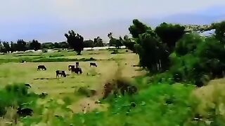 Mianwali kalabagh Rood
