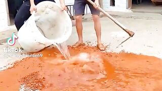 Funny video