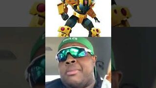 Ranking every bumblebee design