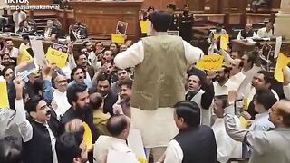 پنجاب اسمبلی میں تحریک انصاف نے دمام مست قلندر کردیا ویلڈن کپتان کے ببر شیروں
