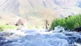 سويسرا