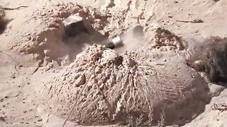 Movie’s title is Tremors