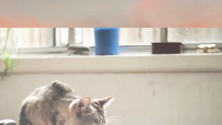 Perhatian dan Kasih Sayang
