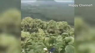Funny_videos_compila...s_2024.