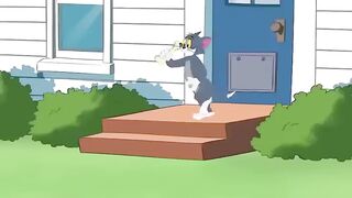 tom and jerry 1