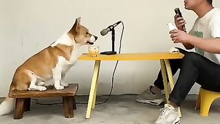 Have you ever heard of a human-dog chorus that explodes with courage? Dogs love to sing. This dog i