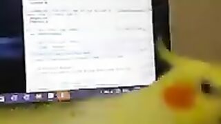 My Cockatiel is feisty_ watch him fight with me.