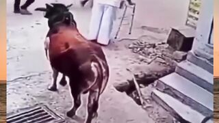 India Again