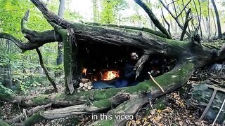 "7-Day Solo Survival Camping in Ra Forest: Building a Warm Bushcraft Shelter"