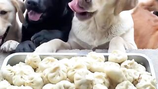 I can't stop watching this 2