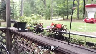 Funny cats videos 4 || funny clips 2024