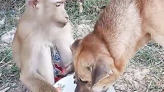 Awesome_Video_Best_SokYaa,OG,_Pao___Mom_Are_Famous_Around_The_World_#shorts(480p).