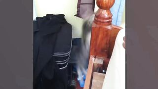 Funny cats video 5 || funny clips 2024