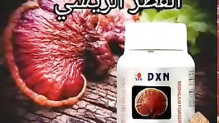 الفطر الريشي 2