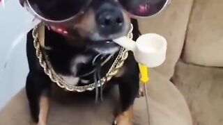 Cleitinho fubá e sua gangue