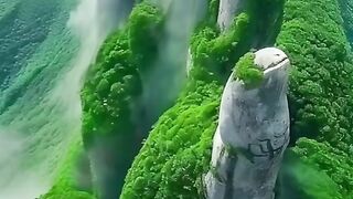الإبداع الكوني