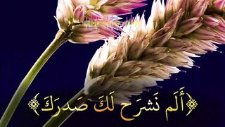 Quran Surah 46