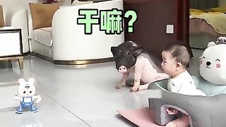 Baby and pets animal