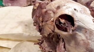 Turkish Street Food Lamb Head
