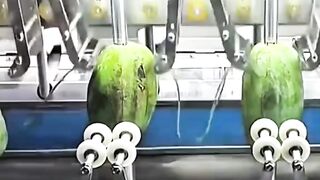 Fruit peeling machine