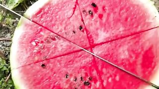 Fruit slicing skills