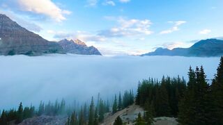 natural views 5