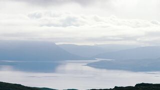 natural views 6