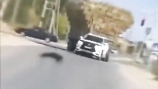 یہ منظر کس ملک کا ہو سکتا ہے