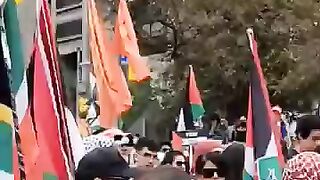 Pro Palestine Rally  Toronto  Canada