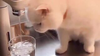 A tomar agua