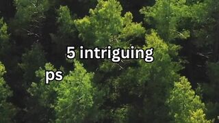 5 intriguing psychology facts ???????? #psychology #facts #shorts