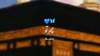 video 694