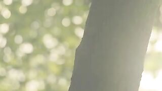Helios 44-2 Vintage Lens with Swirly Bokeh