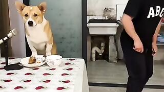 The two of them, one person and one dog, are exploring new skills every day. This dog knows music.