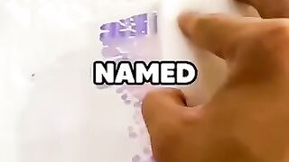 Emily gets every answer right