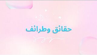 اسمع اغرب الطرائف
