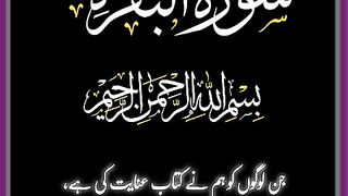 Al_Quran_#surah_#islamic_#Knowledge_#shortsfeed_#islamiceducation(480p).