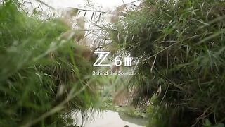 The Nikon Z6III for Wildlife Photography