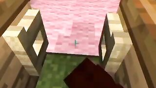 Minecraft 41