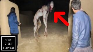Ces vidéos EFFRAYANTES