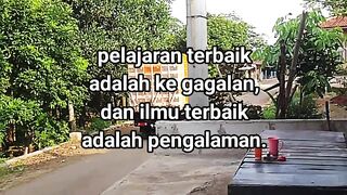 ayam broiler || kata kata lucu 498