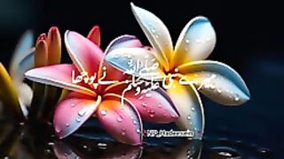 Razzaq5-Deen Ka Mazboot Amal Kya hai???? -- what's app stetus--144p.