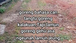 ayam broiler || kata kata lucu 499