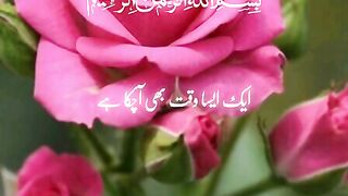 Suraj_Al_insan.#quranicvoice_#viralvideo#shortsfeed_#tilawatbeautifulvoice#al_Quran_official_channel(480p).