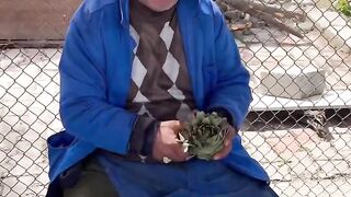 How To Cut Artichoke In Local Bazaar