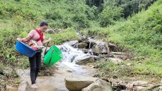 Go to the forest to get fruit to sell, buy pork to process fat.