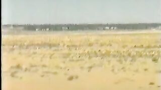 مملكة تدمر ٣٣