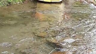 Taxi Angkutan Flores lewat Part 2 #truck #truk #angkutanpedesaan #videoviral