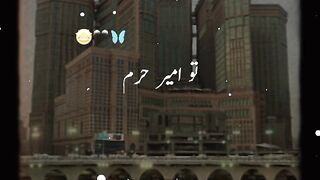 video 699