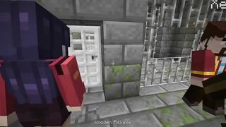 Minecraft 46
